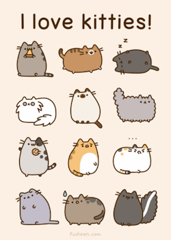 crazycatladyclothing:  GET THE BOOK HERE: I Am Pusheen Paperback 
