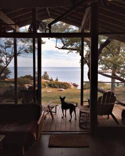 wild-cabins:  FORESTBOUND  😍😍😍😍😍😍😍😍 Yes,