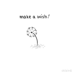 magics-secrets:  make a wish