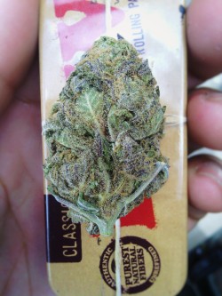 lalalandean:  The Cookie Monster!   FROSTY PURP