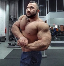 Big muscles