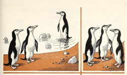 nemfrog:  Penguins together. Making Sure of Arithmetic - Book