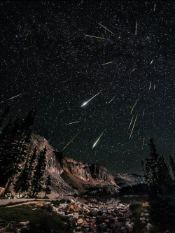 tulipnight:Snowy Range Perseids Meteor Shower by David Kingham