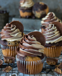 delicious-food-porn:Reese’s Peanut Butter Chocolate CupcakesO_O