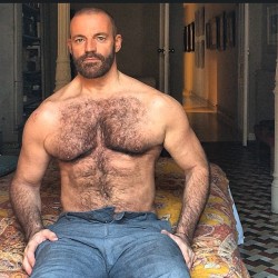 Follow my two hairy men blogs: http://sambrcln.tumblr.com http://hairysex.tumblr.com