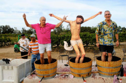 jesus-everywhere:  Jesus Turning Grapes Into Wine 