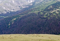 earlandladygray:  The Continental Divide at Rocky Mountain National