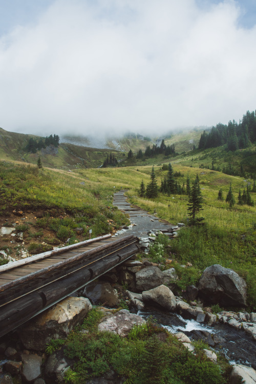 millivedder:  Misty LandscapesPrint Shop