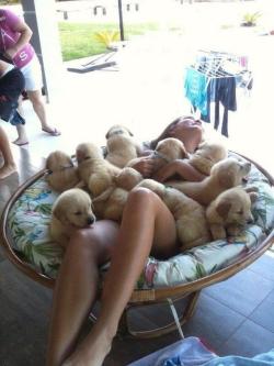 awwww-cute:  This must be what heaven looks like (Source: http://ift.tt/1UmzLx7)