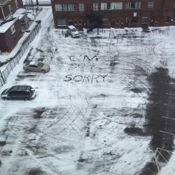 hard-work:Ephemeral apology to the snow parking lot with a gallon