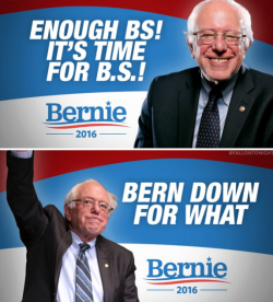 weallheartonedirection:  Bern down 