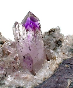 mineralists:  Amethyst Crystals on Matrix from Brandberg Area,