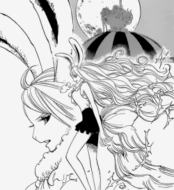 Zoro understands Luffy