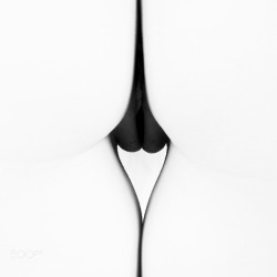 omgchoppedgoateedinosaurfan:BLACK & WHITE by jeanluccouchard