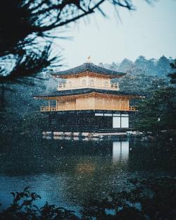 illmelody: 金閣寺 Kinkakuji.