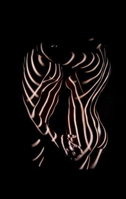 ladylovesbodies:  Light zebras.  
