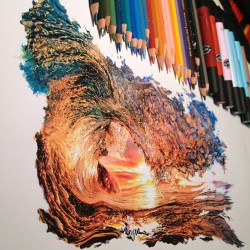 unicorn-meat-is-too-mainstream:   “Hyperrealism with pencil