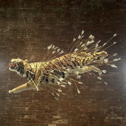   Cai Guo Qiang  