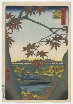freersackler:  Welcome autumn with a selection of fall-themed