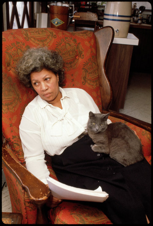 felinepurrrstory:  Toni Morrison at home in 1980. Photographs