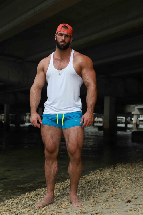 Bulge