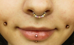 pinstripedbutton:  Close-up of the new pretties. Septum clicker