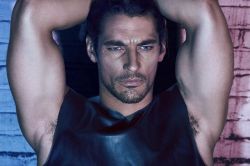 classyperversions:  missharpersworld:  asubssoul2013:  officialdavidgandy: