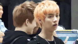 :  luhan saw what you did there 