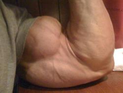 musclelover:  Focused on a massive bicep. A real close up of