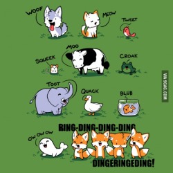 9gag:  What does the fox say!? 