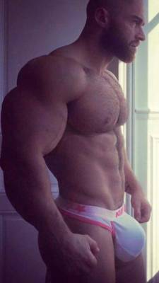 wrestlehead:  Bulge   Great looking hairy pecs, and an awesome