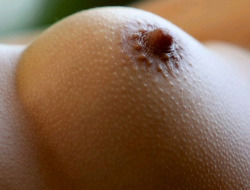 Partybuttnaked
