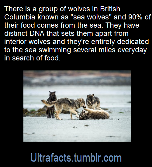 ultrafacts:  Source: [x]Click HERE for more facts!