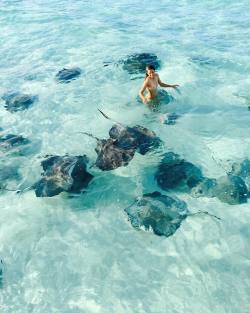 shawnaankenbrandt:  Swimming with stingray✅ #nofilter #shawnaankenbrandt