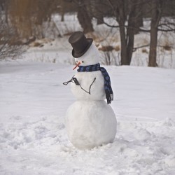 brockdavis:  snowman on his smartphone  #modernsnowman 
