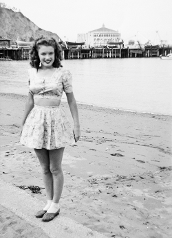 missmonroes:  Norma Jeane (aka Marilyn Monroe) at Catalina Island