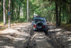 bonhamchrysler1:   "The great advantage of being in a rut