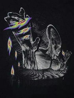 I got a shirt like this at the 2002 Lateralus tour