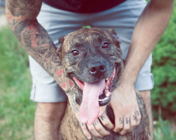 nonelikerae:  Tattoo blog x