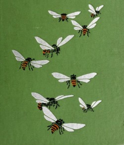 nemfrog:  Book cover, detail.   The book of bugs. 1902. 