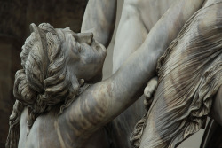 ganymedesrocks:  xshayarsha:  The Rape of Polyxena, Piazza della