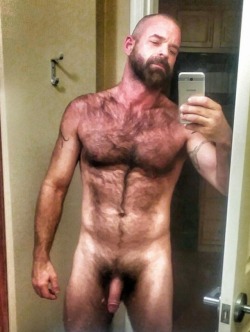 hairytreasurechests:If you also like hairy and older men who