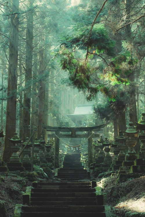 lsleofskye: Kamishikimi Kumano-imasu Shrine | sameshiki