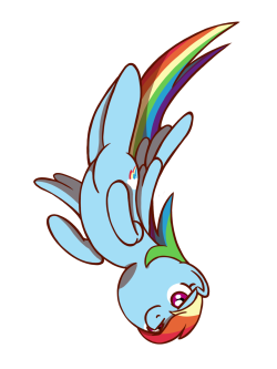 flutterluv:Happy Rainbow Dash Appreciation Day <3