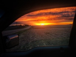 dirt-road-dreams:  🍂🍃Nebraska appreciation post. 🌾🌻