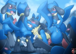 Gay riolu for anon