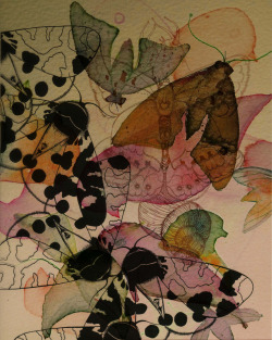 cafeinevitable:  Black Moths by Colleen Parkerink and paint