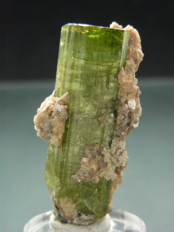 ifuckingloveminerals:  Tourmaline Urubu, Itinga, Brésil