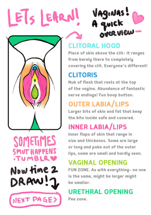 sometimessmuthappens:  Don’t normally respond to asks like this but thought I could be of some help! A possibly helpful illustrated guide to drawing vaginas. Hopefully my writing is sorta legible @___@;;; didn’t think that part through till the end.