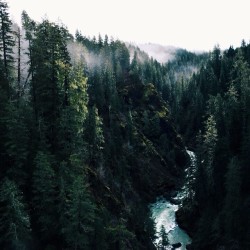 lastinq:  eartheld:  mostly nature  //nature//